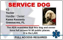 Service Dog ID Badges