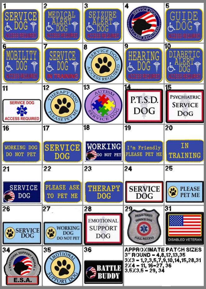 Certified Service Dogs For Sale Certified Service Dogs For Sale