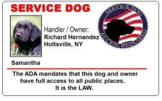 U S Service Dog Identification Card U S Service Dog Identification Card